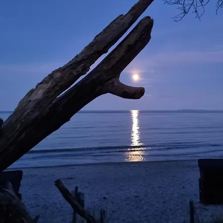 Traumhaftes Mit Privatstrand - Odins Blick 21 - Ruhige Gartenanlage, Sauna